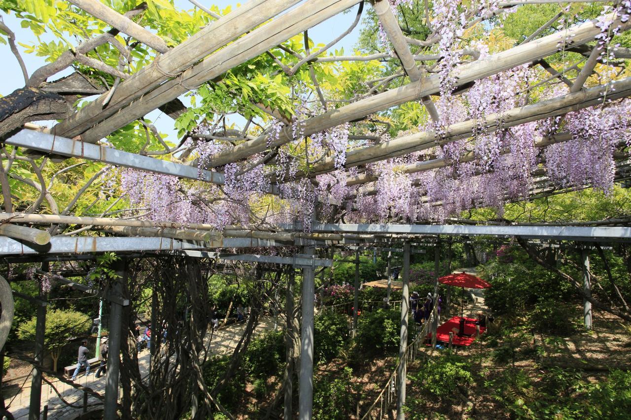 Ryori Ryokan Tsurugata Kurashiki Dış mekan fotoğraf
